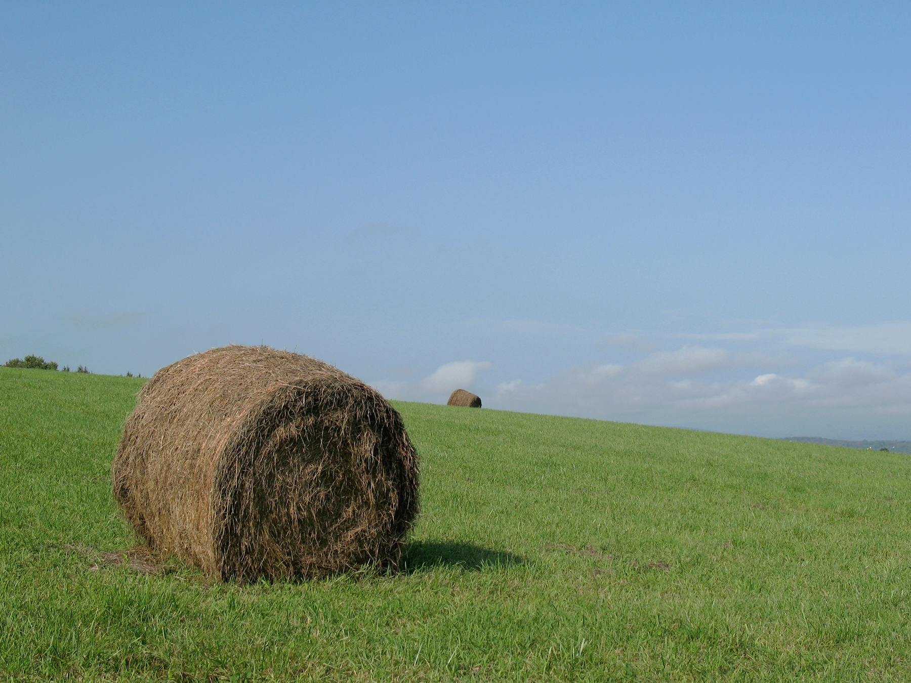 Hay Bale Color After